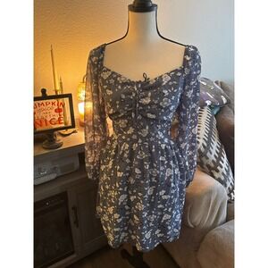 Hollister NWT women's medium blue floral long sleeve dress